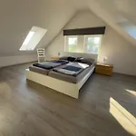 Nyaraló Minser Deichhaus
